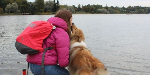 Koira-avusteinen tukihenkilötoiminta Länsi-Uudellamaalla