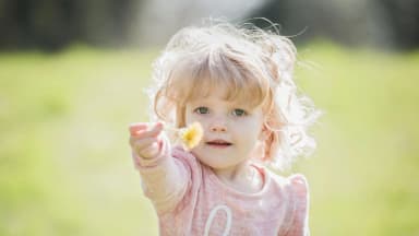 Järjestön toiminnan kuvituskuva